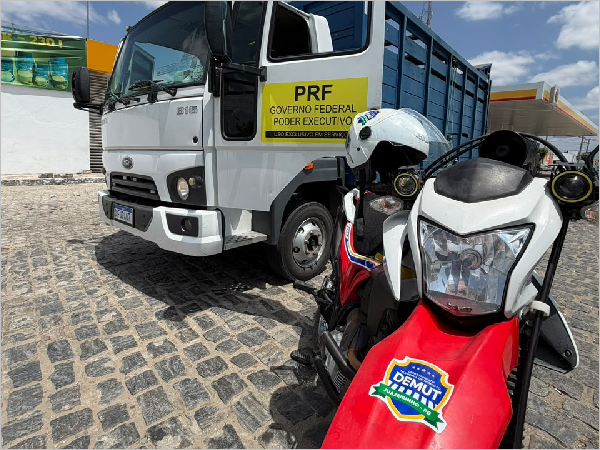PREFEITURA E PRF REALIZAM OPERAÇÃO PARA RETIRADA DE ANIMAIS SOLTOS NA BR-230
